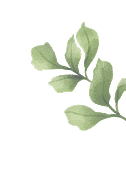 leaf footer.png